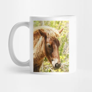 Assateague Pony Wyld Wynds Colt Mug